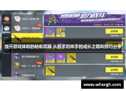 提升游戏体验的秘密武器 从新手到高手的成长之路和技巧分享