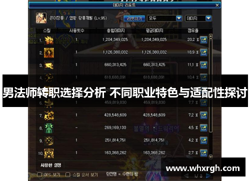 男法师转职选择分析 不同职业特色与适配性探讨